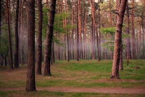世界举重康复示范基地智能维护与远程监控试点总结发布，世界举重大师赛